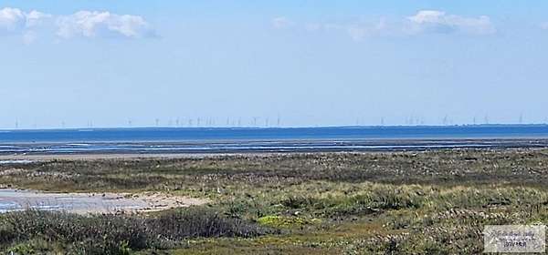 0.26 Acres of Residential Land for Sale in South Padre Island, Texas