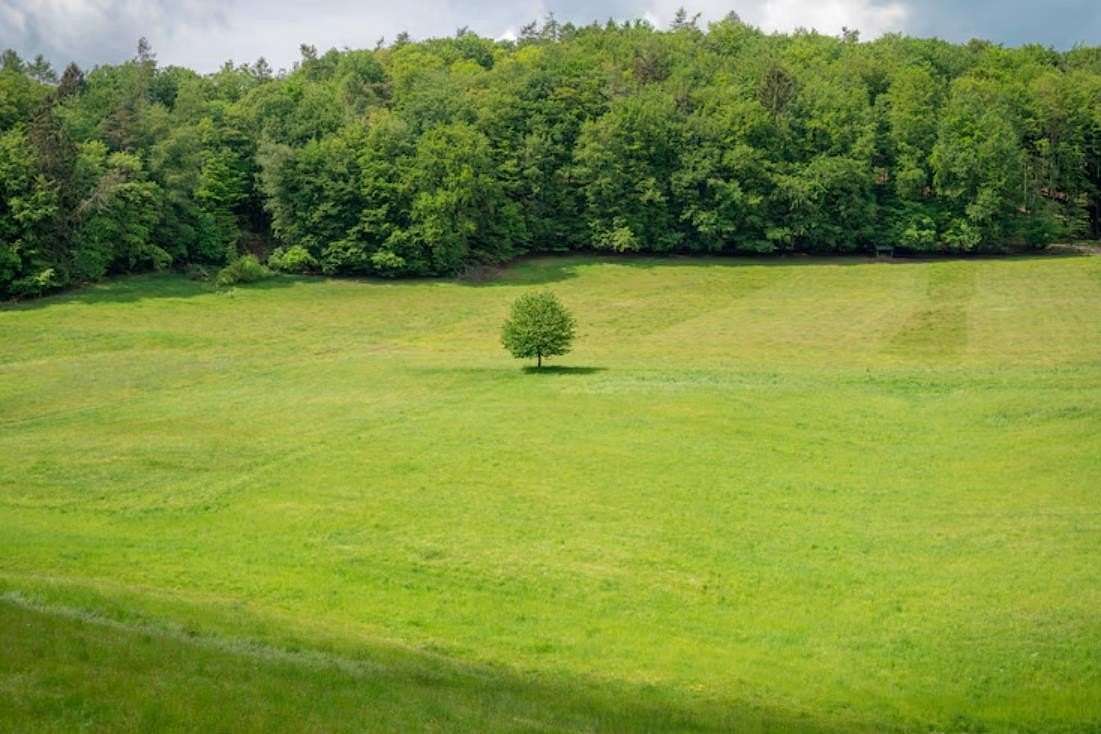 2.1 Acres of Residential Land for Sale in Eads, Tennessee