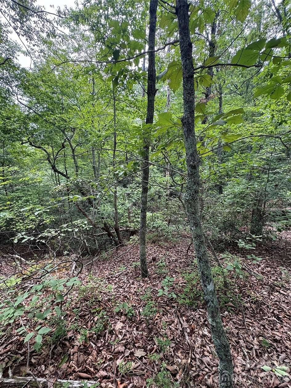 0.67 Acres of Residential Land for Sale in Lake Lure, North Carolina
