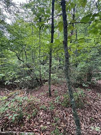 0.67 Acres of Residential Land for Sale in Lake Lure, North Carolina
