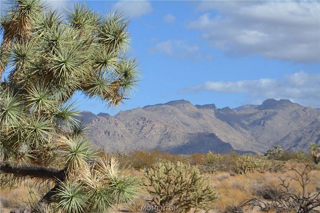 1 Acre of Residential Land for Sale in Yucca, Arizona
