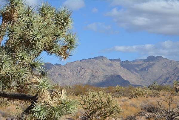 1 Acre of Residential Land for Sale in Yucca, Arizona
