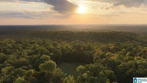 700 Acres of Recreational & Residential Land for Sale in Remlap, Alabama