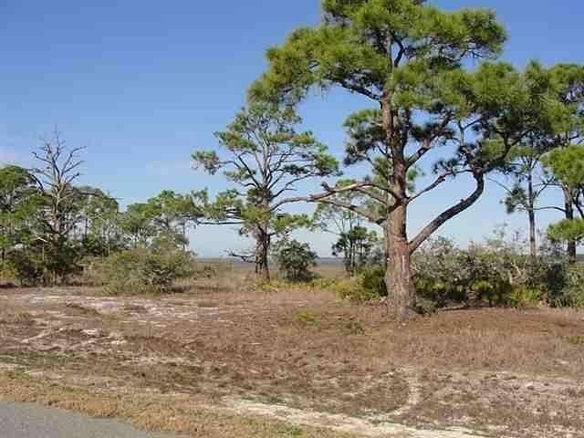 1.57 Acres of Residential Land for Sale in Panacea, Florida