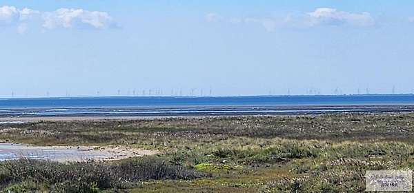 0.26 Acres of Residential Land for Sale in South Padre Island, Texas