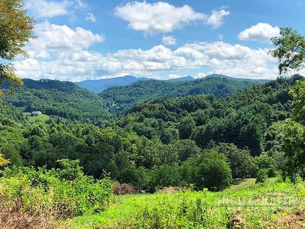 24.5 Acres of Recreational Land for Sale in Vilas, North Carolina