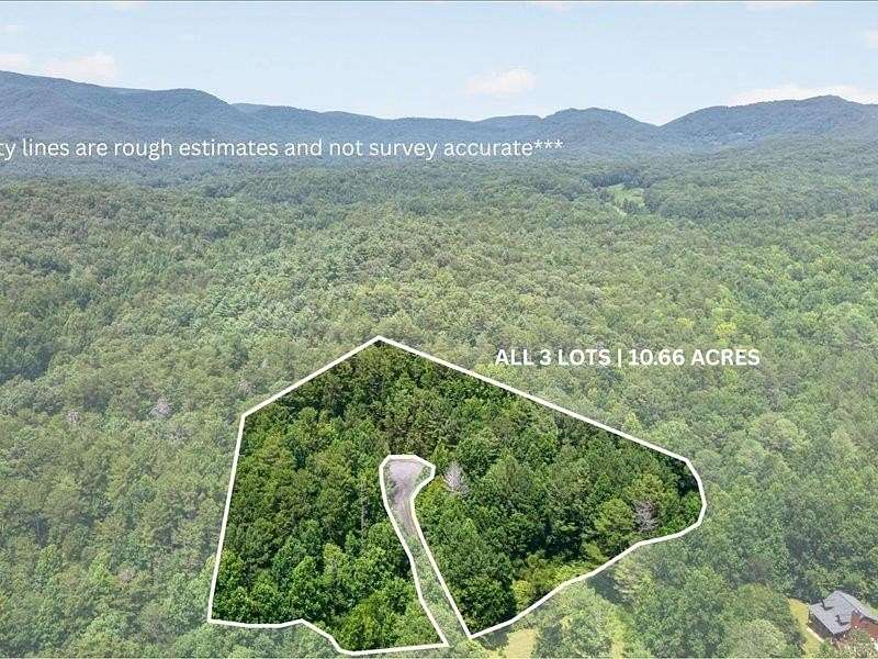 10.7 Acres of Land for Sale in Ellijay, Georgia