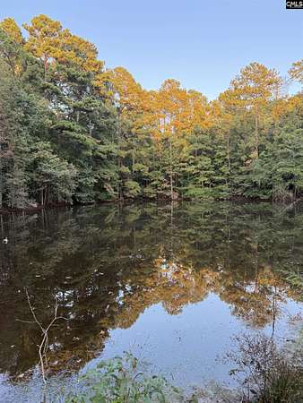 31 Acres of Recreational & Residential Land for Sale in Newberry, South Carolina