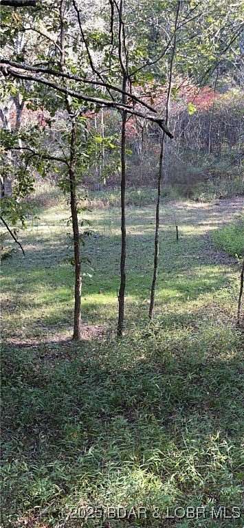 10.2 Acres of Land for Sale in Preston, Missouri