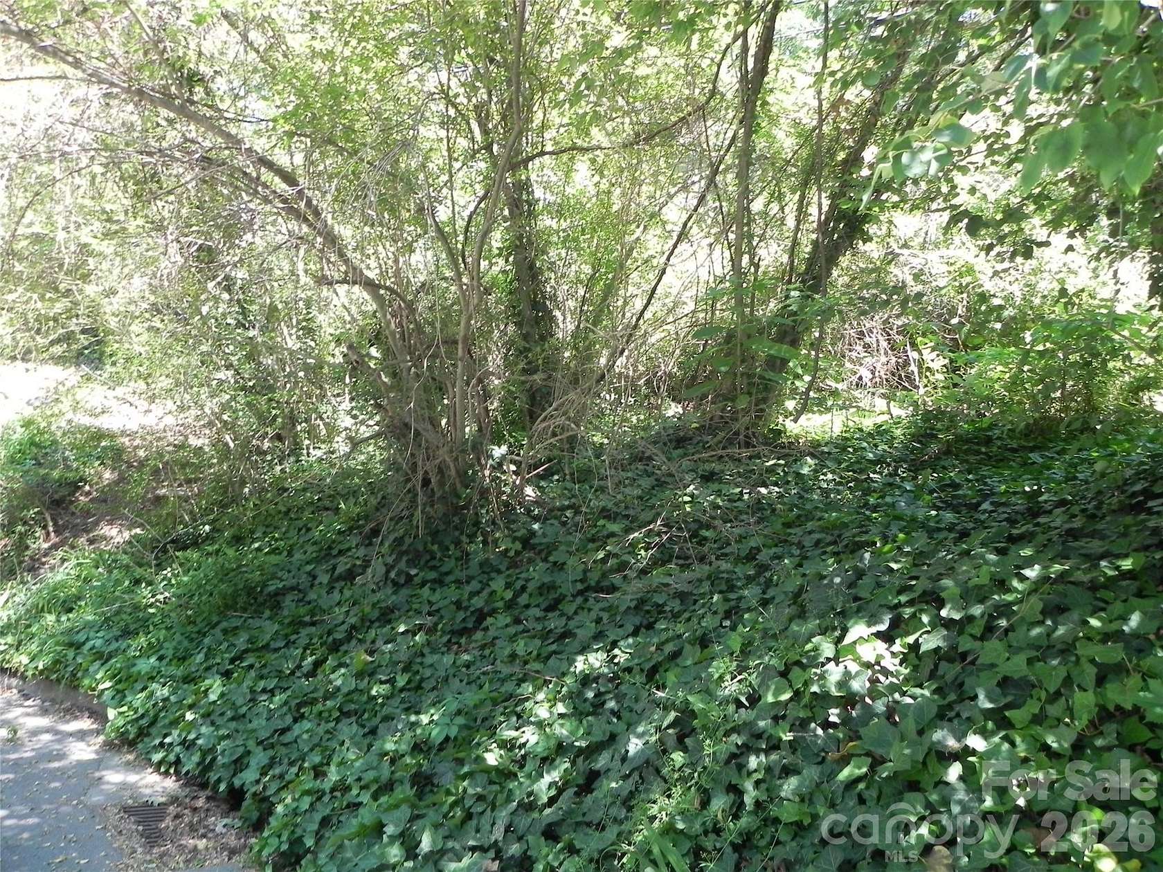 0.33 Acres of Residential Land for Sale in Asheville, North Carolina