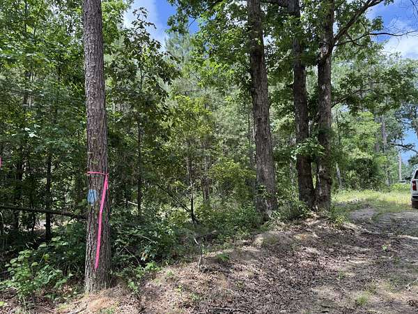 40 Acres of Recreational Land for Auction in Pine Bluff, Arkansas