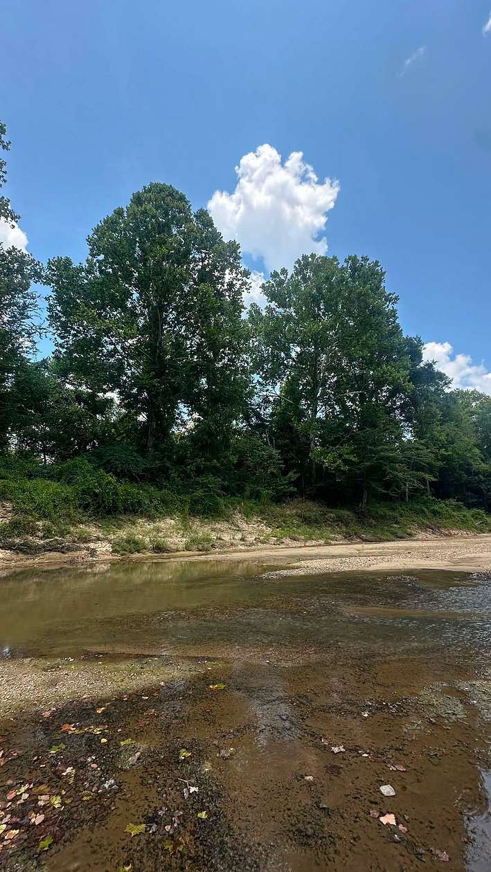 29.3 Acres of Recreational Land for Sale in Roxie, Mississippi