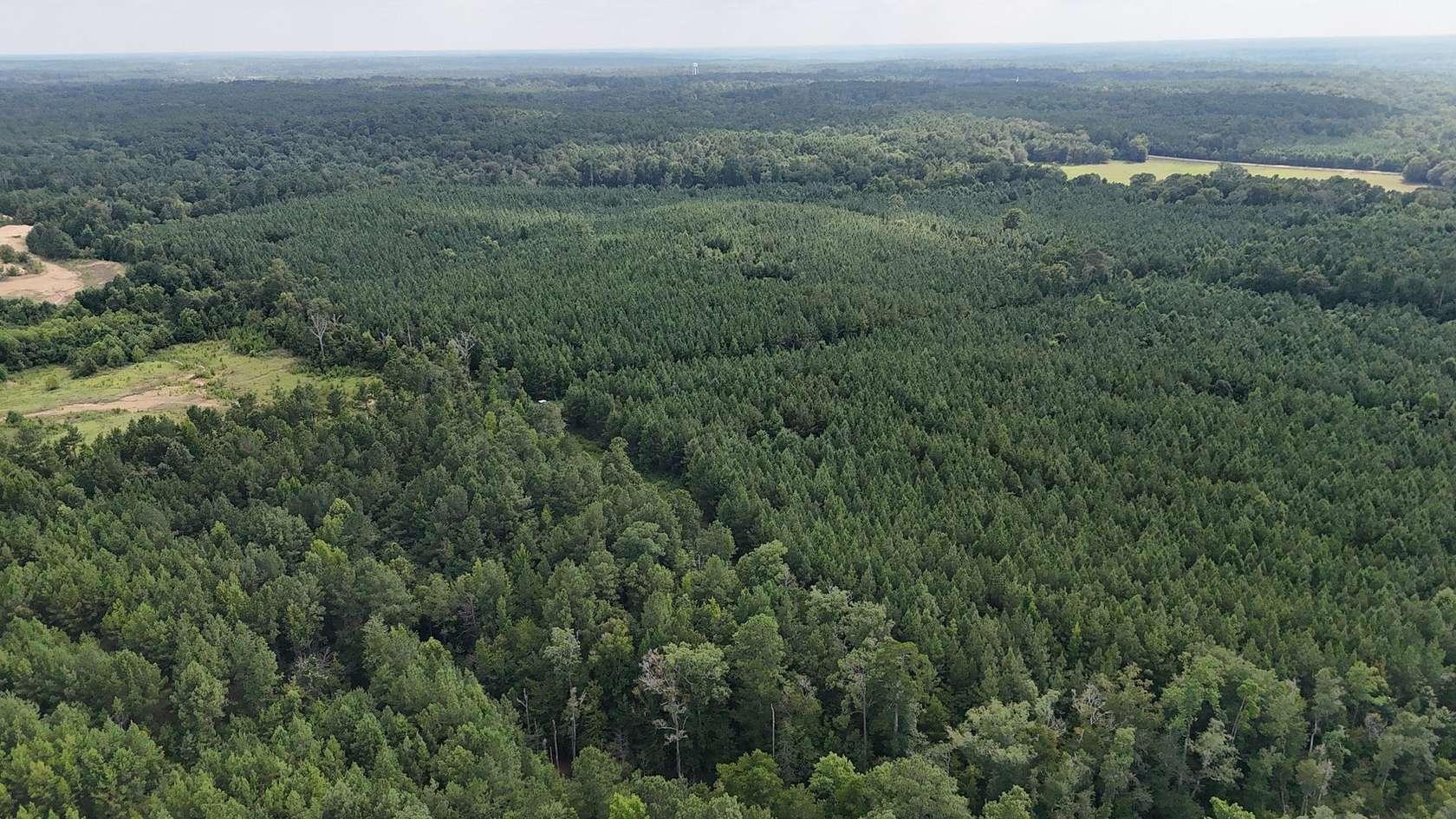 91 Acres of Recreational Land for Sale in Brookhaven, Mississippi