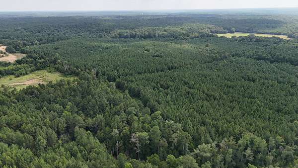 91 Acres of Recreational Land for Sale in Brookhaven, Mississippi