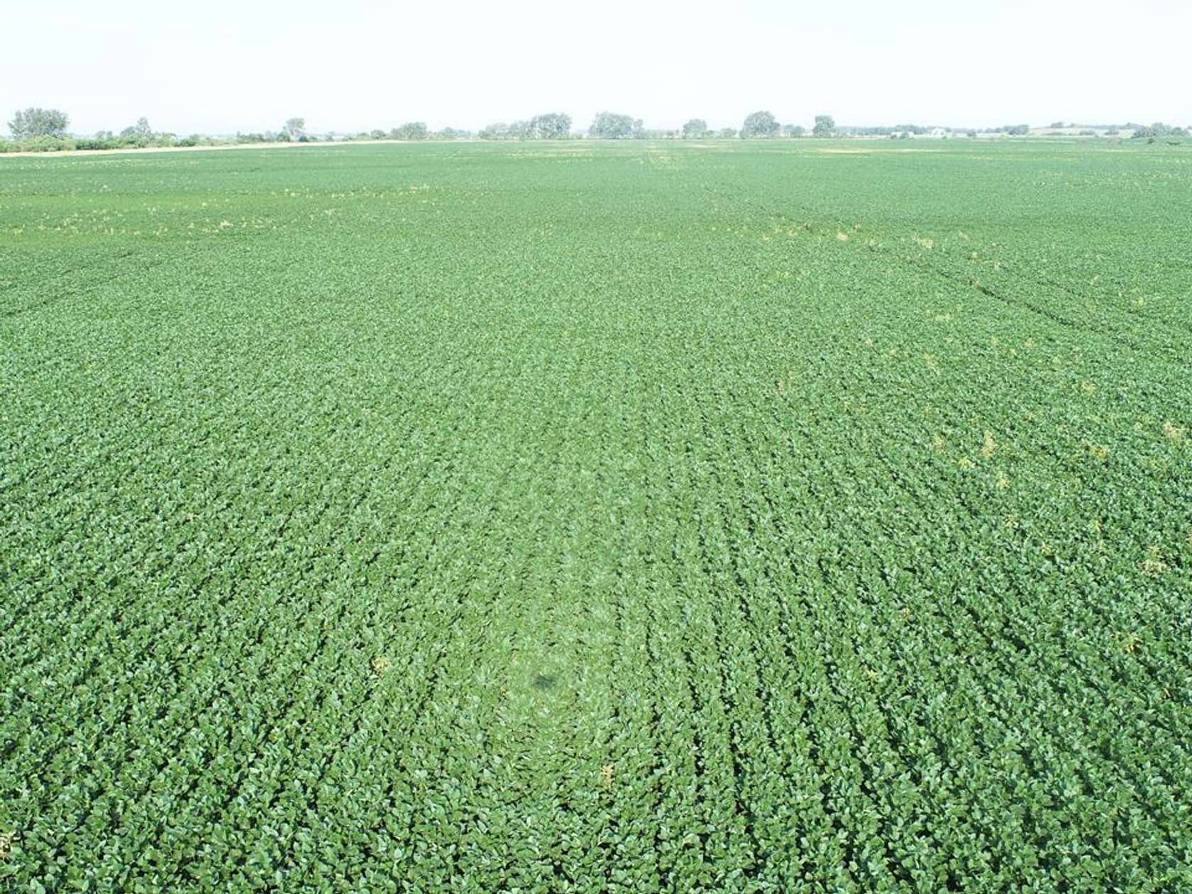 277 Acres of Land for Sale in Atkinson, Illinois