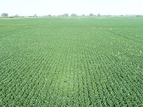 277 Acres of Land for Sale in Atkinson, Illinois