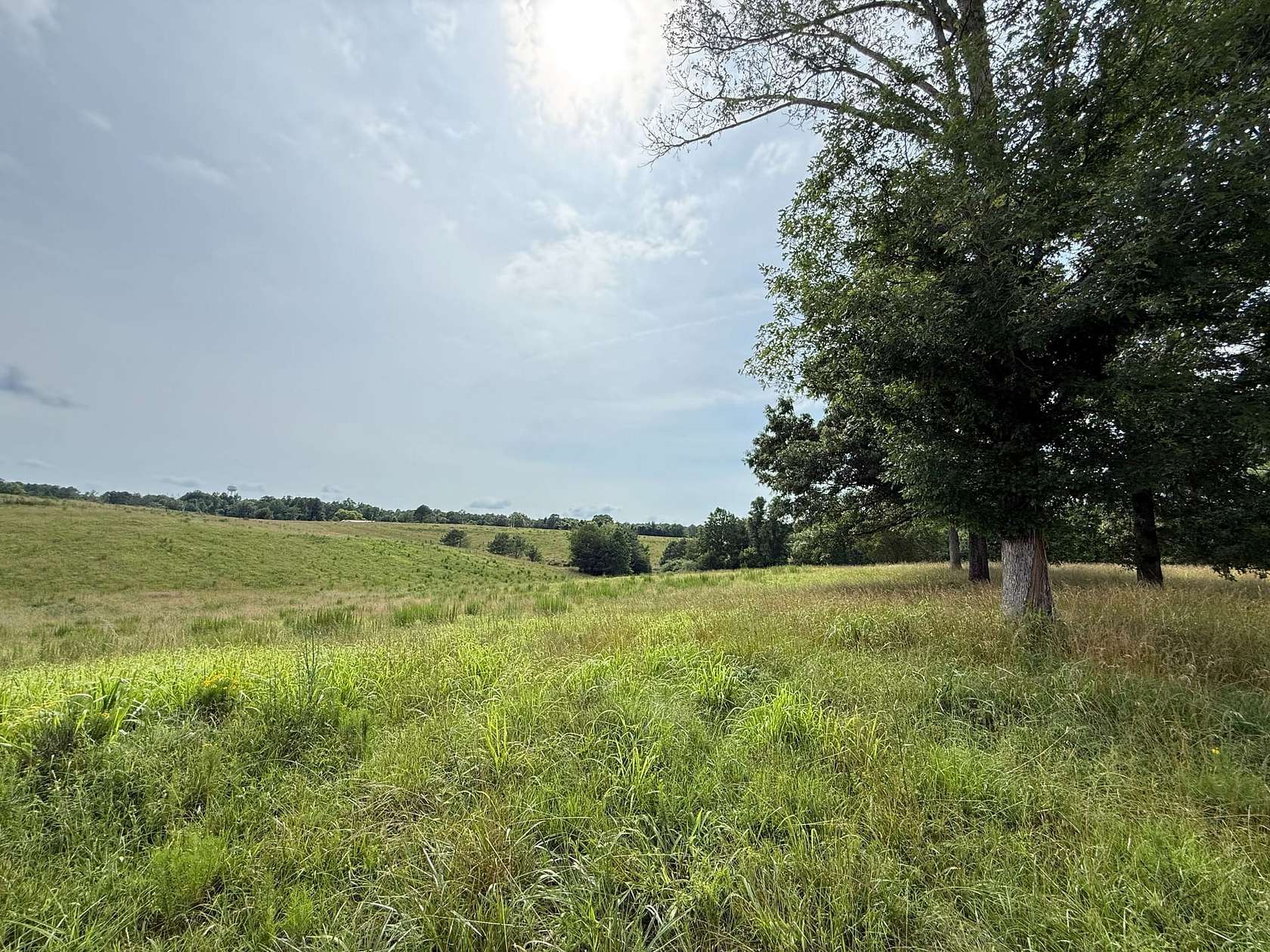 44 Acres of Land for Sale in Houston, Alabama