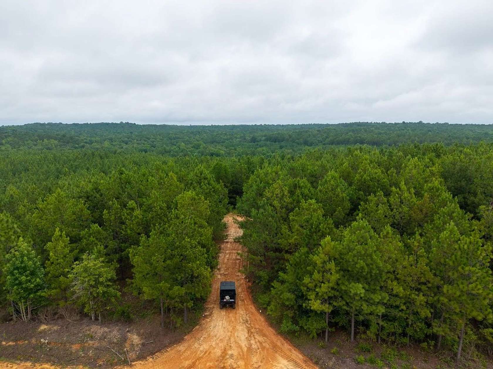 49 Acres of Recreational Land for Sale in Clanton, Alabama
