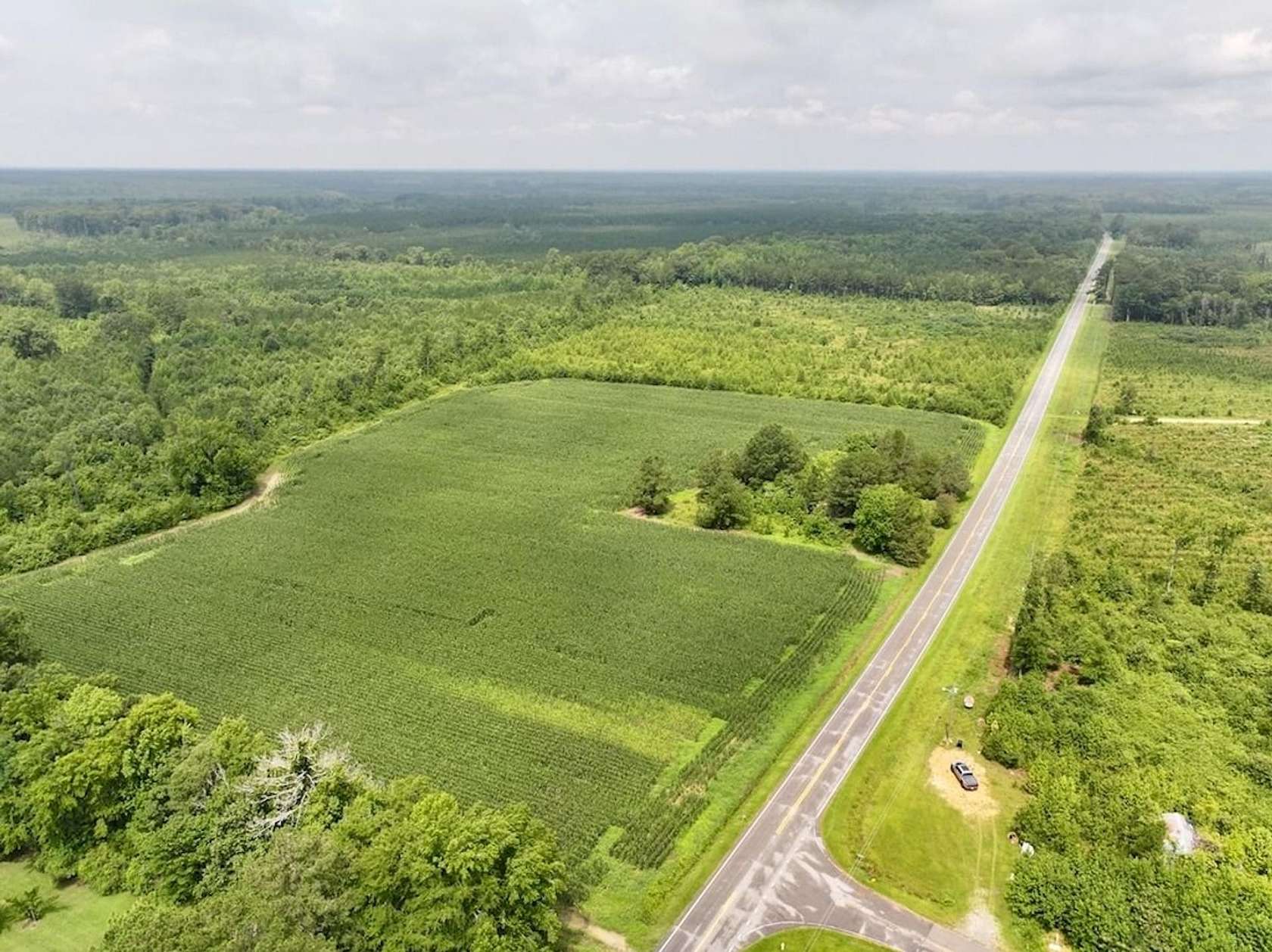24.5 Acres of Land for Sale in Halifax, North Carolina