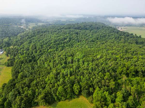 43 Acres of Recreational Land for Sale in Bidwell, Ohio