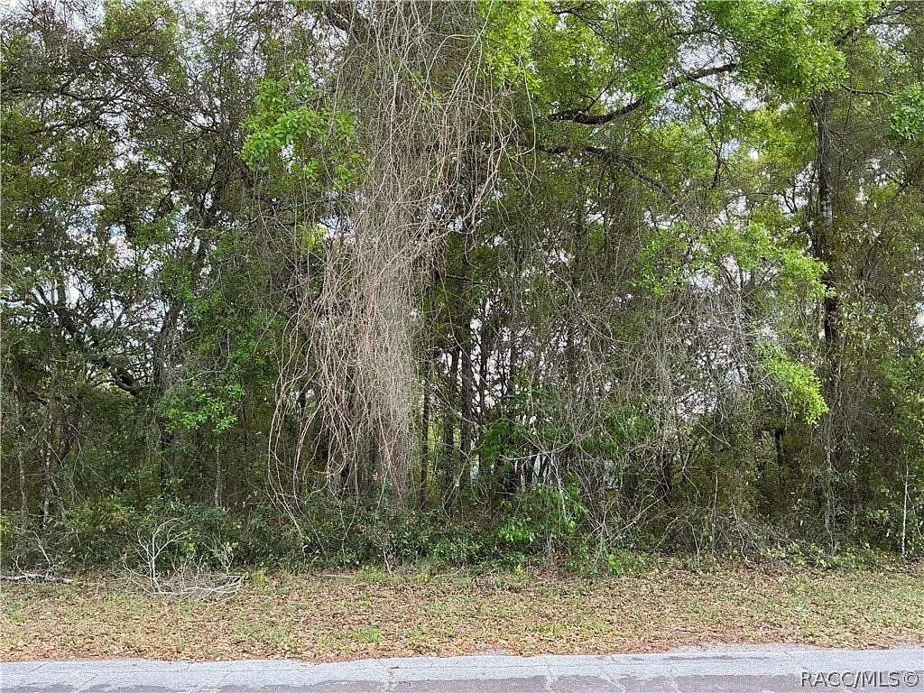 0.28 Acres of Residential Land for Sale in Citrus Springs, Florida