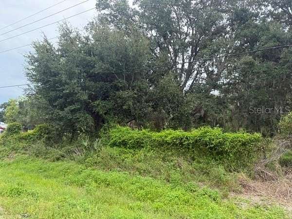 0.92 Acres of Commercial Land for Sale in LaBelle, Florida