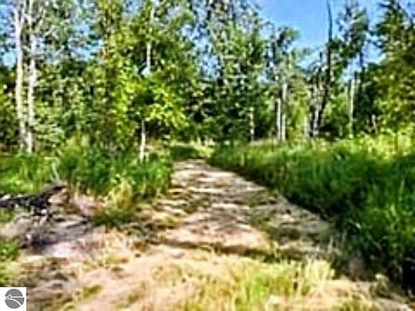 39.3 Acres of Recreational Land for Sale in Turner, Michigan