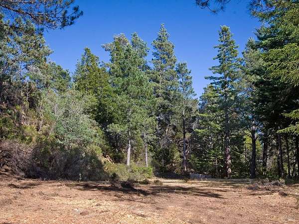1 Acre of Residential Land for Sale in Gualala, California