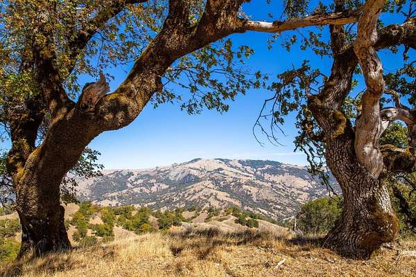 40 Acres of Land for Sale in Laytonville, California