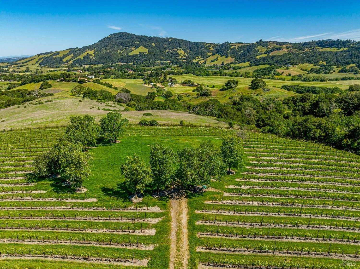 42.6 Acres of Agricultural & Residential Land for Sale in Santa Rosa, California