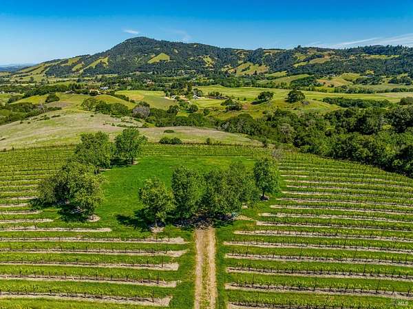42.6 Acres of Agricultural & Residential Land for Sale in Santa Rosa, California