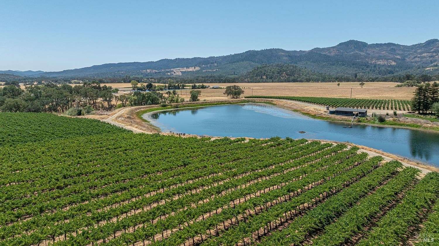 37.3 Acres of Agricultural Land for Sale in Pope Valley, California