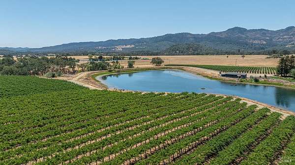 37.3 Acres of Agricultural Land for Sale in Pope Valley, California