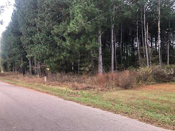 0.9 Acres of Residential Land for Sale in Pittsburg, Texas