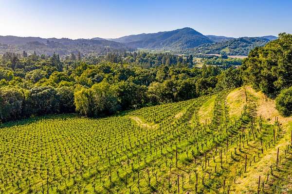 12 Acres of Land for Sale in Forestville, California