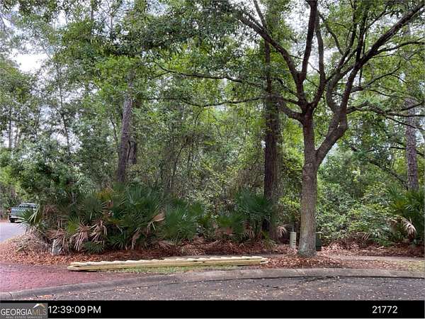 0.28 Acres of Residential Land for Sale in St. Marys, Georgia