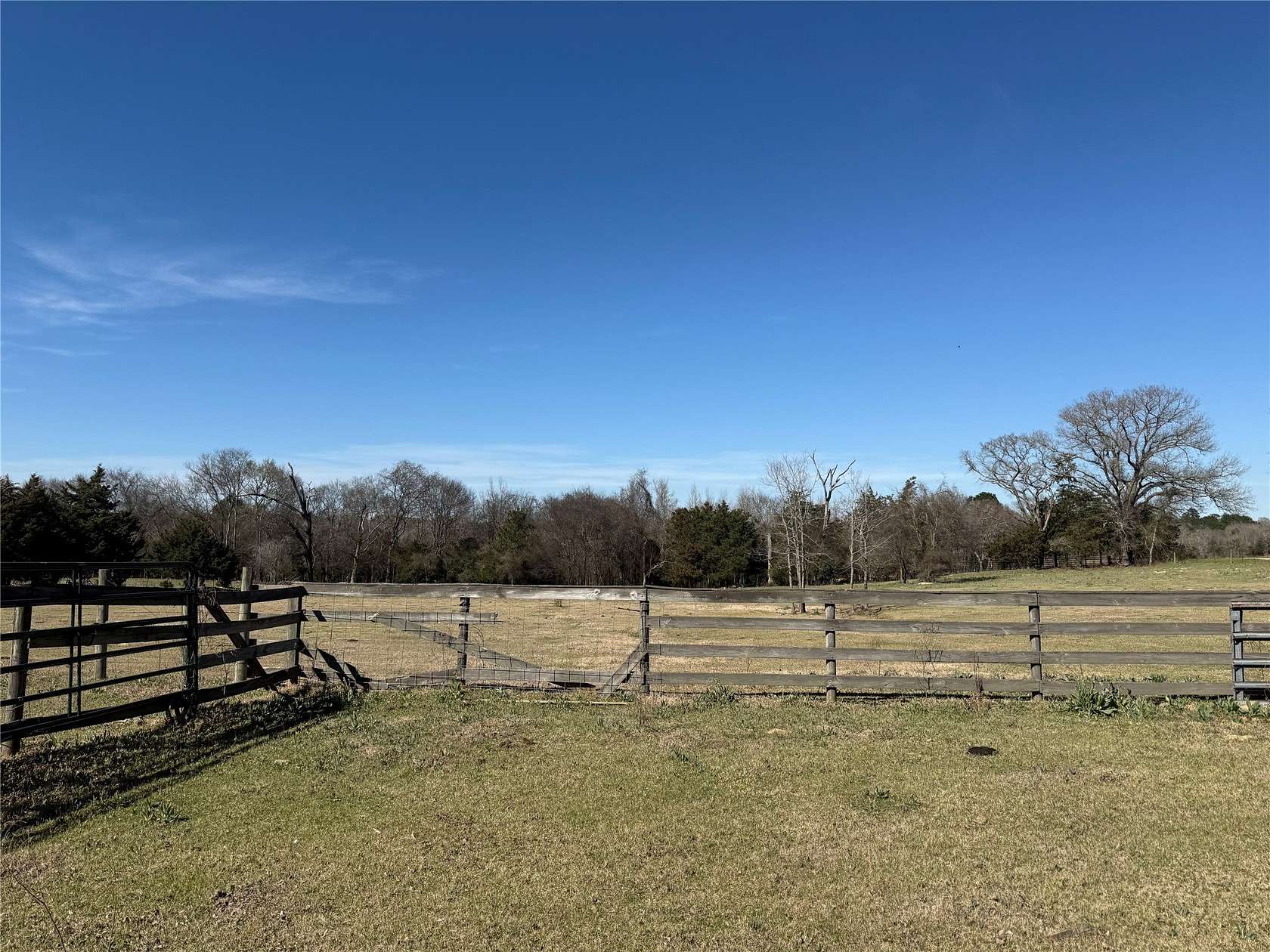 52.3 Acres of Land for Sale in Grapeland, Texas