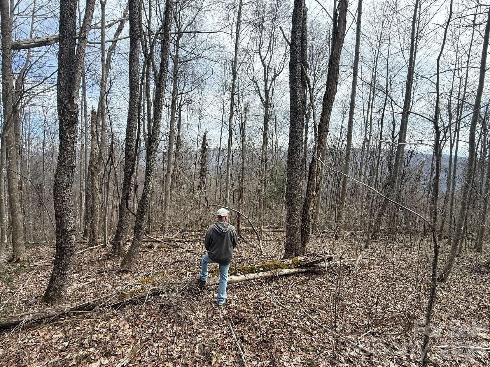 94.1 Acres of Recreational & Residential Land for Sale in Hot Springs, North Carolina