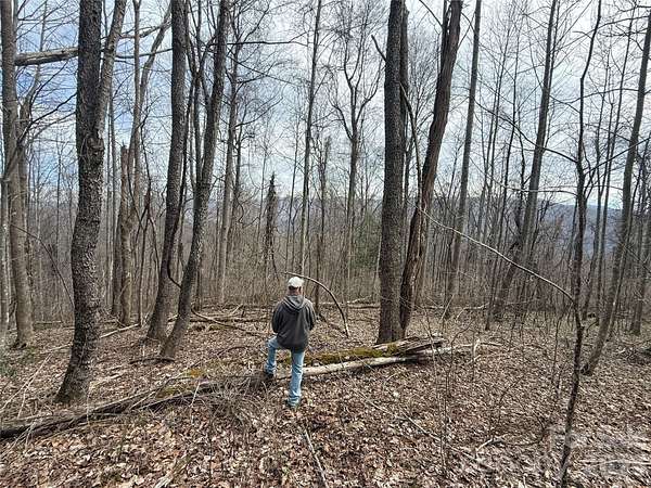 94.1 Acres of Recreational & Residential Land for Sale in Hot Springs, North Carolina