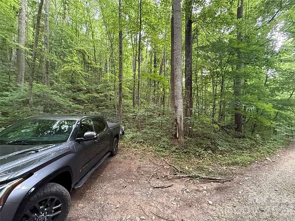 10.2 Acres of Land for Sale in Barnardsville, North Carolina