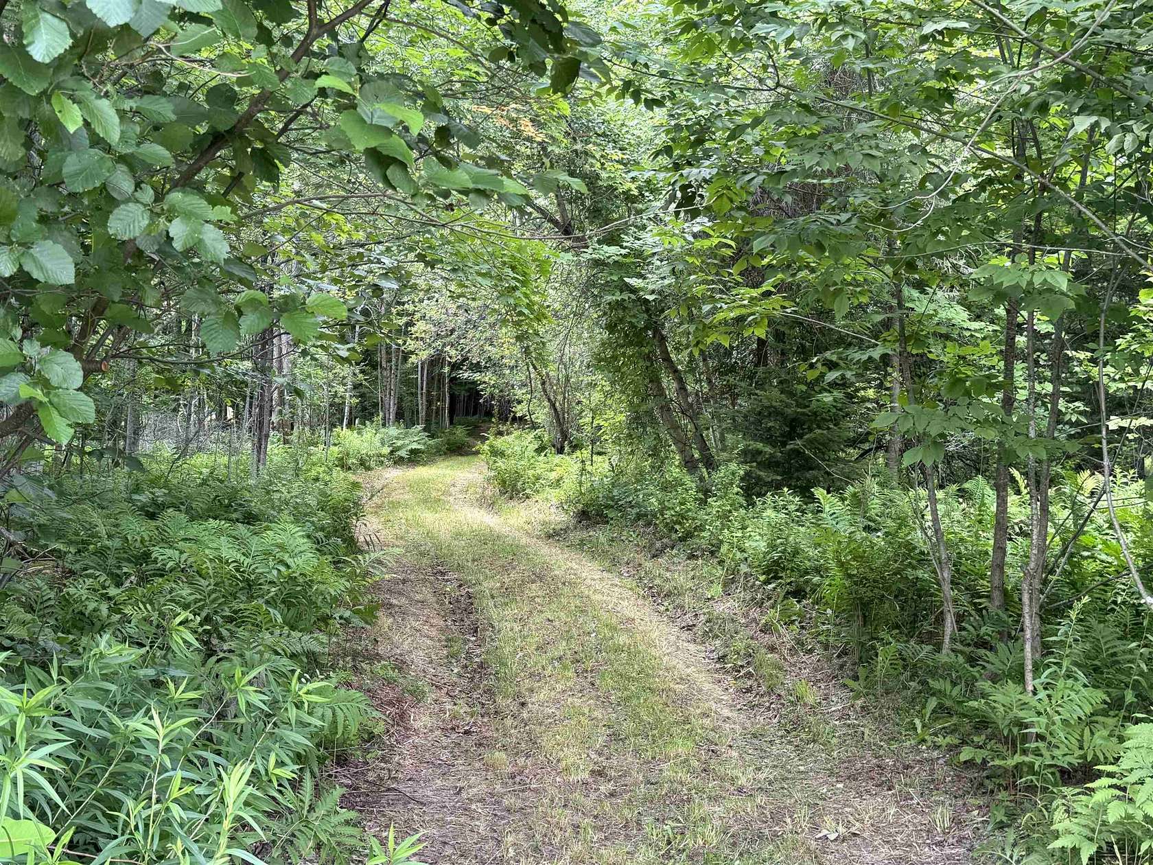 26 Acres of Recreational & Residential Land for Sale in Wolcott, Vermont