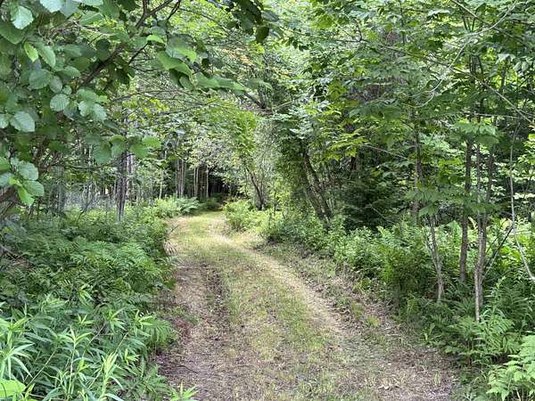 26 Acres of Recreational & Residential Land for Sale in Wolcott, Vermont