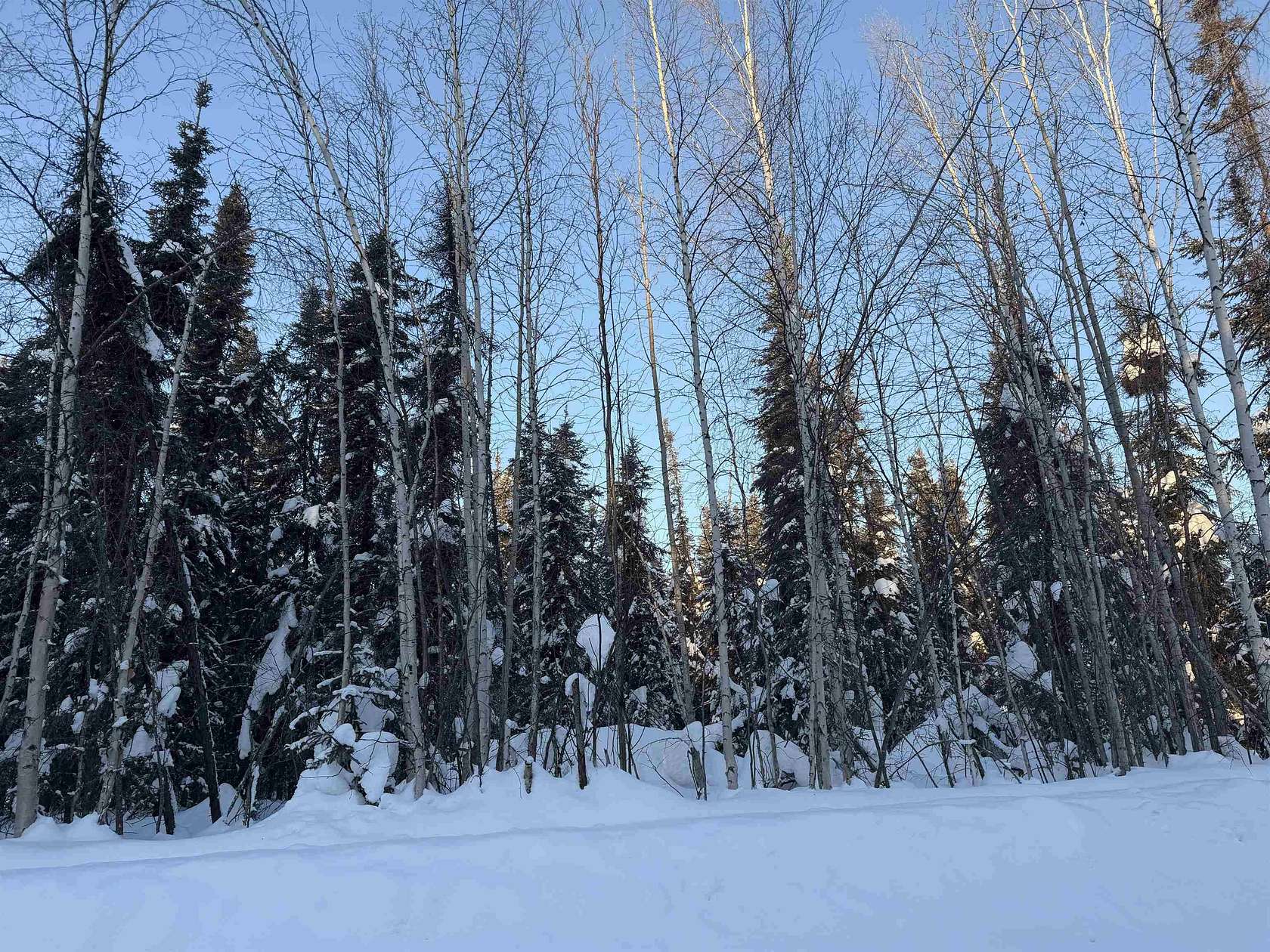 1.1 Acres of Residential Land for Sale in North Pole, Alaska