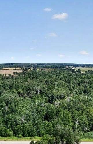 39 Acres of Recreational & Residential Land for Sale in Lake, Michigan