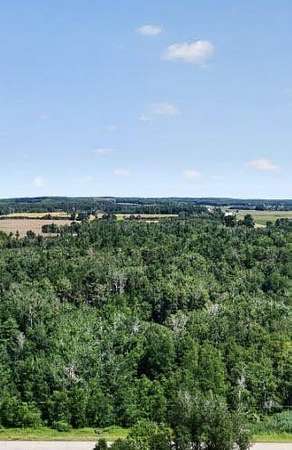 39 Acres of Recreational & Residential Land for Sale in Lake, Michigan