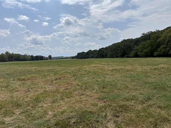 102 Acres of Land for Sale in Republic, Missouri