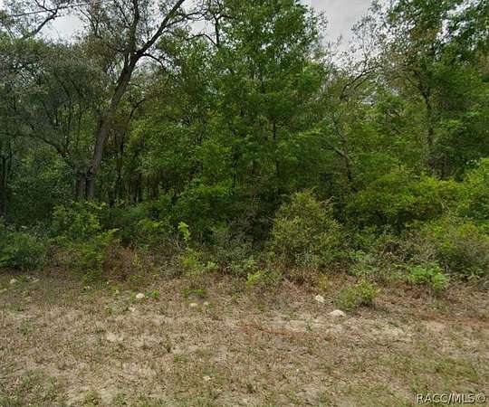 0.29 Acres of Land for Sale in Citrus Springs, Florida