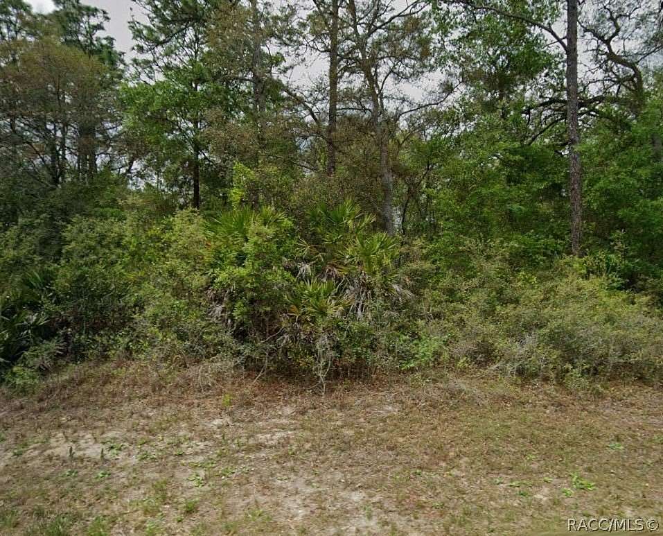 0.29 Acres of Land for Sale in Citrus Springs, Florida