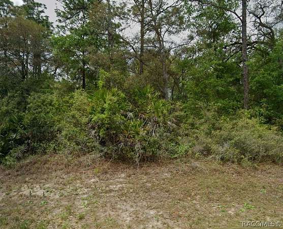 0.29 Acres of Land for Sale in Citrus Springs, Florida