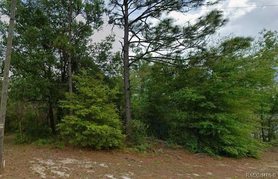 0.24 Acres of Land for Sale in Citrus Springs, Florida